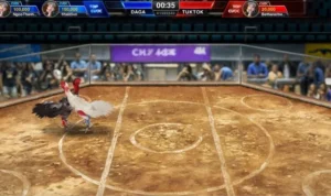 Đá Gà 3D K9Win