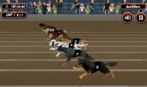 Đua Chó K9Win