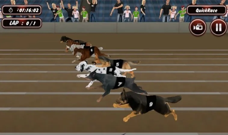 Đua Chó K9Win
