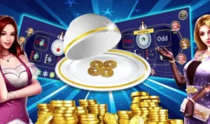 Xóc Đĩa Tại K9Win